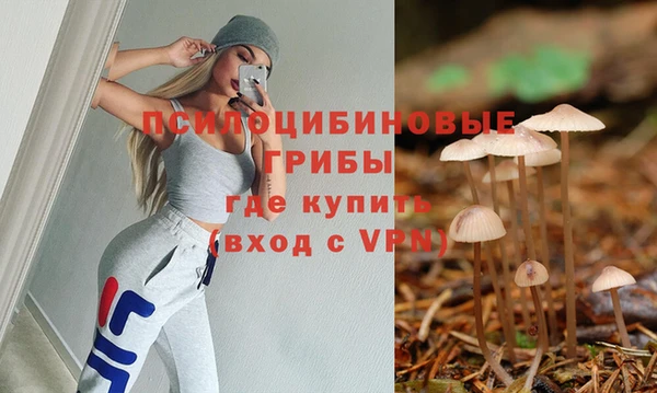 спиды Бугульма